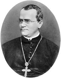Abbot Gregor Mendel osa
