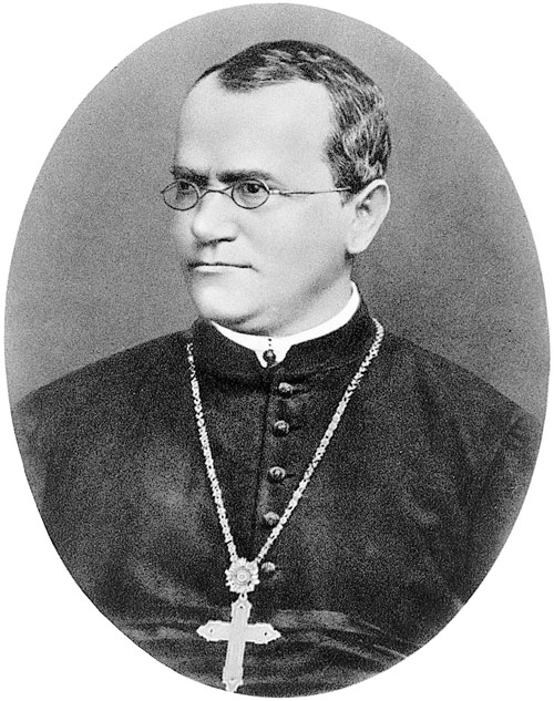 Abbot Gregor Mendel O.S.A., born 1822, priesthood 1847, died 1884